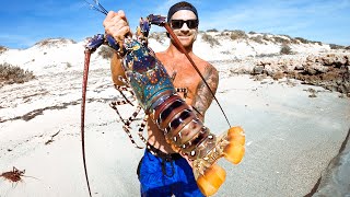 Catching GIANT CRAYFISH Barehanded For Food Living From The Ocean  Ep 194 [upl. by Gipps113]