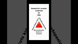 quotUnderstanding Haemolytic Uraemic Syndrome Types and Symptoms Explainedquot [upl. by Oibesue]