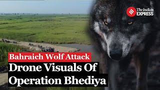 Operation Bhediya From Drones To Dummy Children UPs Desperate Search For Two Wolves [upl. by Lona]