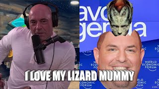 Joe Rogan I love the lizard people jre [upl. by Rosalie]