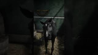 RDR2  ALL ARABIANS LOCATION rdr2 shorts [upl. by Gerda726]