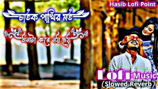 চাতক পাখির মত মনটা করে নয় ছয়  Chatok Pakir Moto Monta Kore Noi Soi  Slowed Lofi Music lofi [upl. by Einniw]