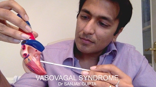 Vasovagal syndrome [upl. by Dinesh]