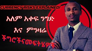 What is Currency Risk  ምንዛሬ ጋር በተያያዘ ምን አይነት ችግሮች አሉ ምንዛሬ ዶላር ethiopia chilot currency [upl. by Nagiem948]