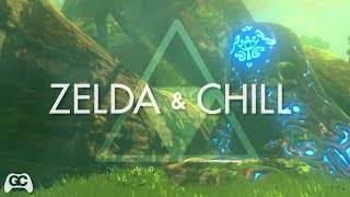 Zelda amp Chill [upl. by Paik67]