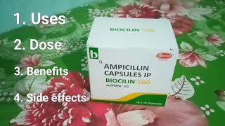 Ampicillin 500 Capsule l Ampicillin Capsules l Antibiotics use Dose Benefits amp Side effects Hindi [upl. by Oiramat]