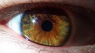 Change your Eye Color to HAZEL in 10 SECONDS  Hypnosis  Get Hazel Eyes Biokinesis [upl. by Liba]