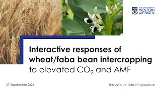 Responses of wheatfaba bean intercropping to elevated CO2 amp AMF Lecture by Professor Xinhua He [upl. by Rotceh]