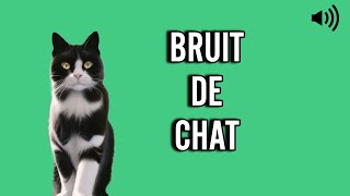 bruit de CHAT 🐱 miaulement [upl. by Keyser123]