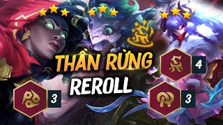 LEO RANK THẦN TỐC ĐẦU MÙA GIÁO ÁN THẦN RỪNG REROLL VỚI BỘ BA CHỦ LỰC 2 TIỀN GNAR  KINDRED  SENNA [upl. by Lyman]