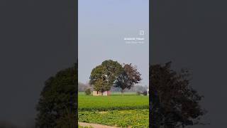 Khetan Di Kashboo Tarsem Jassar Song Status  Gagan Johal [upl. by Adeuga]