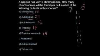 Chromosome number and ploidy mutations [upl. by Ludwigg]