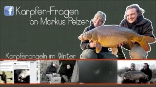 Karpfenangeln im Winter Die besten Tipps von Markus Pelzer [upl. by Annoya137]