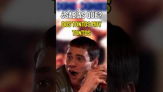 ¿Sabías queDOS TONTOS MUY TONTOS [upl. by Hera]