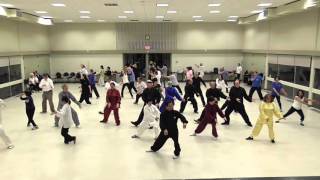 World Taijiquan Day 2015  世界太极拳日  American Chen Taiji Society [upl. by Easton]