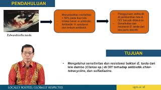 Hibah Penelitian Kolaborasi Fakultas Pertanian  Dr Ir Triyanto MSi [upl. by Odrude87]