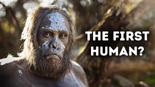 Evolution of Humans Documentary [upl. by Ainekahs]