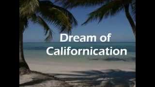 Red Hot Chili Peppers  Californication LYRICS [upl. by Acisej645]