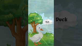 Quack Quack Fun Facts About Ducks for Kids  Educational Animal Video for Toddlers duck facts [upl. by Venezia825]