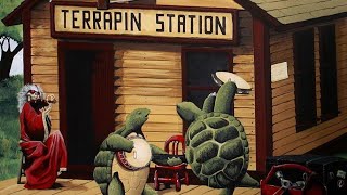 Dead amp Company quotTerrapin Stationquot  The Sphere Las Vegas NV 053124 [upl. by Atinniuq379]