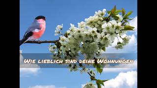 Wie lieblich sind deine Wohnungen Psalm 84 23 und 58 Siegfried Karnick  Studioaufnahme 2021 [upl. by Martha80]