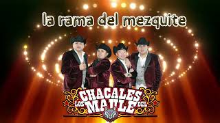 Los Chacales del Maule  La Rama del Mezquite Audio [upl. by Aicilas]