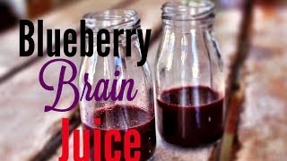 How To Make Blueberry Brain Juice  HEALTH HACK [upl. by Adnema]