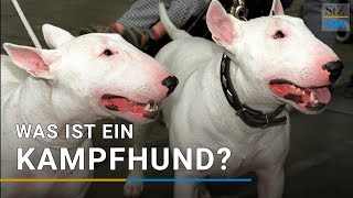 quotKampfhundequot Welcher Hund gilt als Kampfhund [upl. by Rrats938]