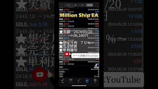 【million shipEA】20240520運用実績！ [upl. by Rahas345]