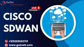 Become SDWAN Expert Zero to Hero Cisco SDWAN Live Training  By GuiNet  wwwguinettcom [upl. by Gusella267]