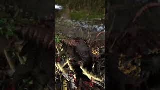 Skaven vs Bretonnia warhammer [upl. by Calder]