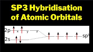 SP3 Hybridisation of Atomic Orbitals Explained  Full Concept amp Examples [upl. by Hcardahs]