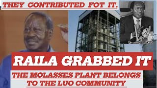 RAILA ODINGA GRABBED THE MOLASSES PLANT FROM ITS RIGHTFUL OWNERS THE LUO COMMUNITY [upl. by Ruggiero]