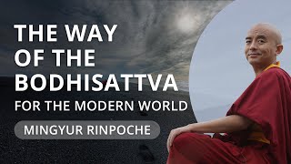 The Way of the Bodhisattva with Yongey Mingyur Rinpoche [upl. by Malsi]