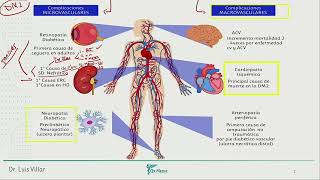 Endocrinología  Complicaciones microvasculares [upl. by Loretta155]