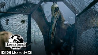 The Pteranodon Aviary Attack in 4K HDR  Jurassic Park III [upl. by Liagaba680]