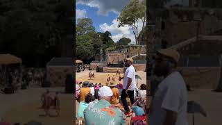 Brolga Dance Academy at Dance Rites 2023 [upl. by Ares]