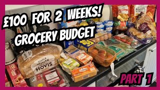 Keeping to a Tight Grocery Budget PART 1 budgetfriendly groceryvlog [upl. by Gitt499]