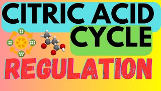 Biochemistry Help Regulation of the Citric Acid Cycle  Krebs Cycle  TCA Cycle [upl. by Oakleil]