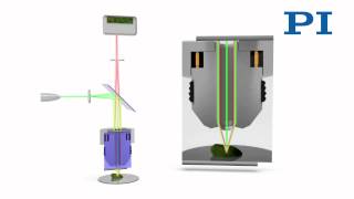 Confocal Microscopy [upl. by Oxford]