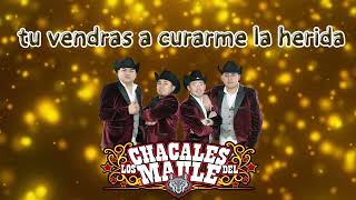 Los Chacales del Maule  Tu Vendrás a Curarme la Herida Audio [upl. by Ethelyn]