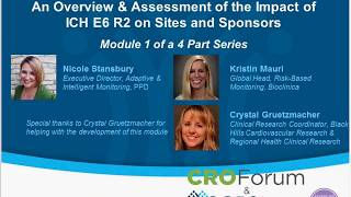 RBM Webinar 1  An Overview and Assessment of the Impact of ICH E6 R2 on Sites and Sponsors [upl. by Corty]