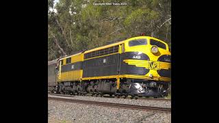 AUSTRALIAS OLDEST DIESEL STREAMLINER ENGINES STILL RUNNING ON THE MAINLINE australiantrains rail [upl. by Corrine]