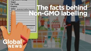 GMO foods Why its meaningless to label geneticallymodified organisms [upl. by Roselyn]