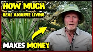 How Much Real Algarve Living Makes Money On YouTube 2023 [upl. by Marucci321]