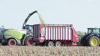 We use Countryside Custom harvesting for chopping silage and combining corn on our family farm [upl. by Blackstock]