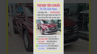 Tucson Tiêu Chuẩn 2024 [upl. by Akemyt]