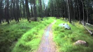 Laggan Wolftrax Downhill Mountain Biking the Green Route [upl. by Sivert]