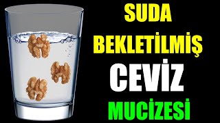 SUDA BEKLETİLMİŞ CEVİZ MUCİZESİ [upl. by Fonseca]