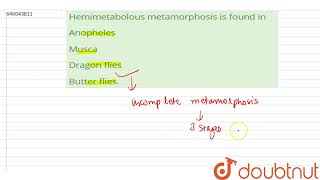 Hemimetabolous metamorphosis is found in  12  PHYLUM  ARTHROPODA  BIOLOGY  DINESH PUBLICAT [upl. by Nolyk618]